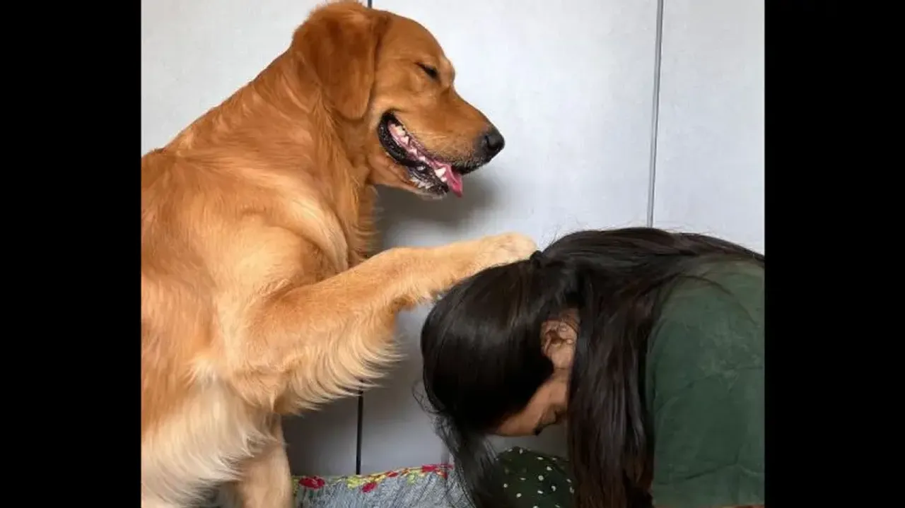 Pet dog ‘Baba Kattappa’ giving ashirwad to its human friends is adorably hilarious – Watch