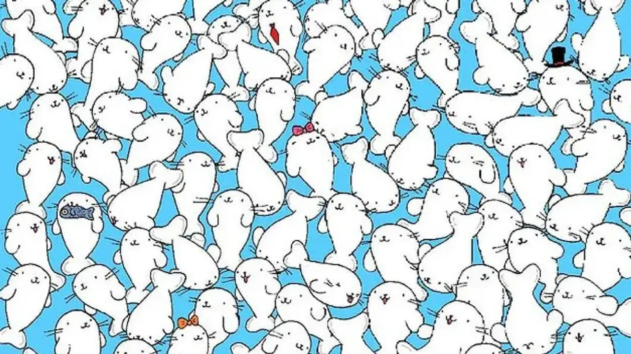 Only 2% can spot the marshmallow hidden among seals within 13 secs
