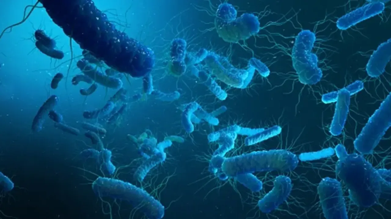 Israeli scientists develop world's 1st mRNA vax for deadly bacteria
