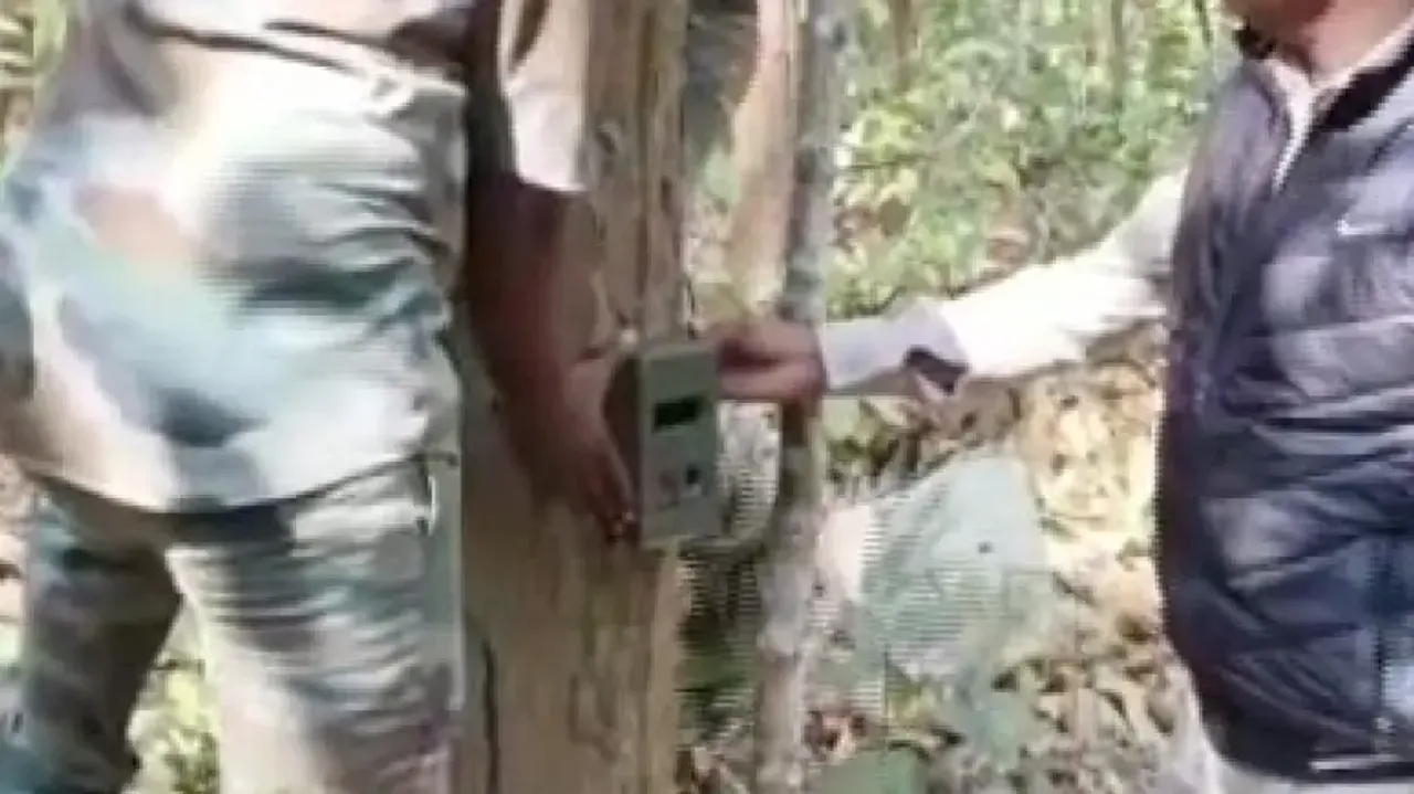 Trap Camera Installed In Jungle