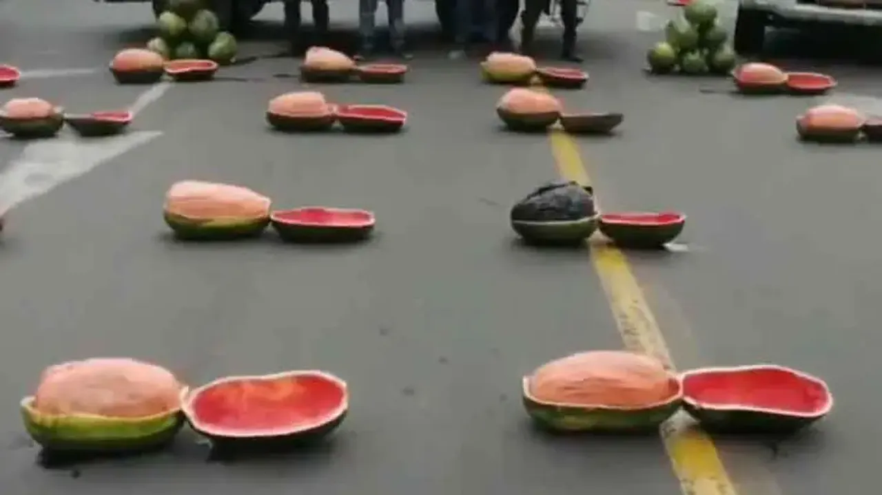 Loads of ganja-stuffed-watermelons seized by cops, watch