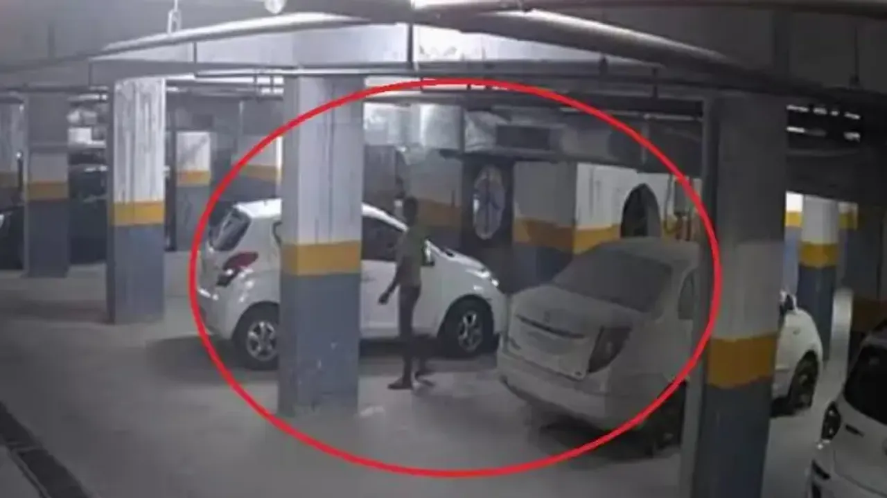 Viral Video: Man pours acid on 15 cars in revenge after being fired from job