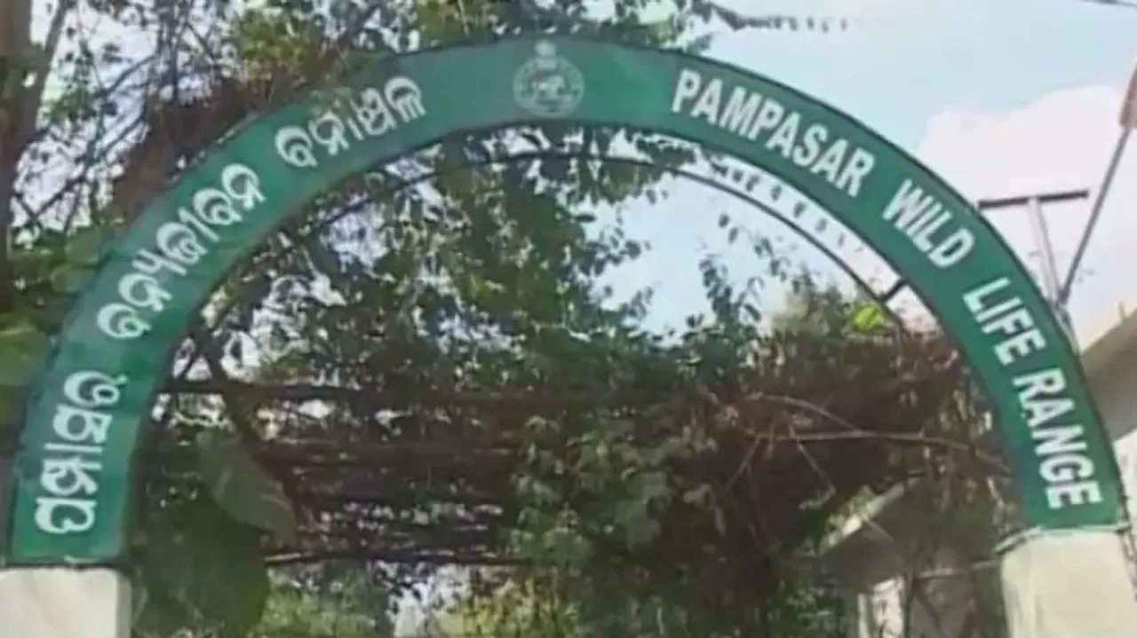 Elephant calf’s bone, hide recovered from Satkosia sanctuary