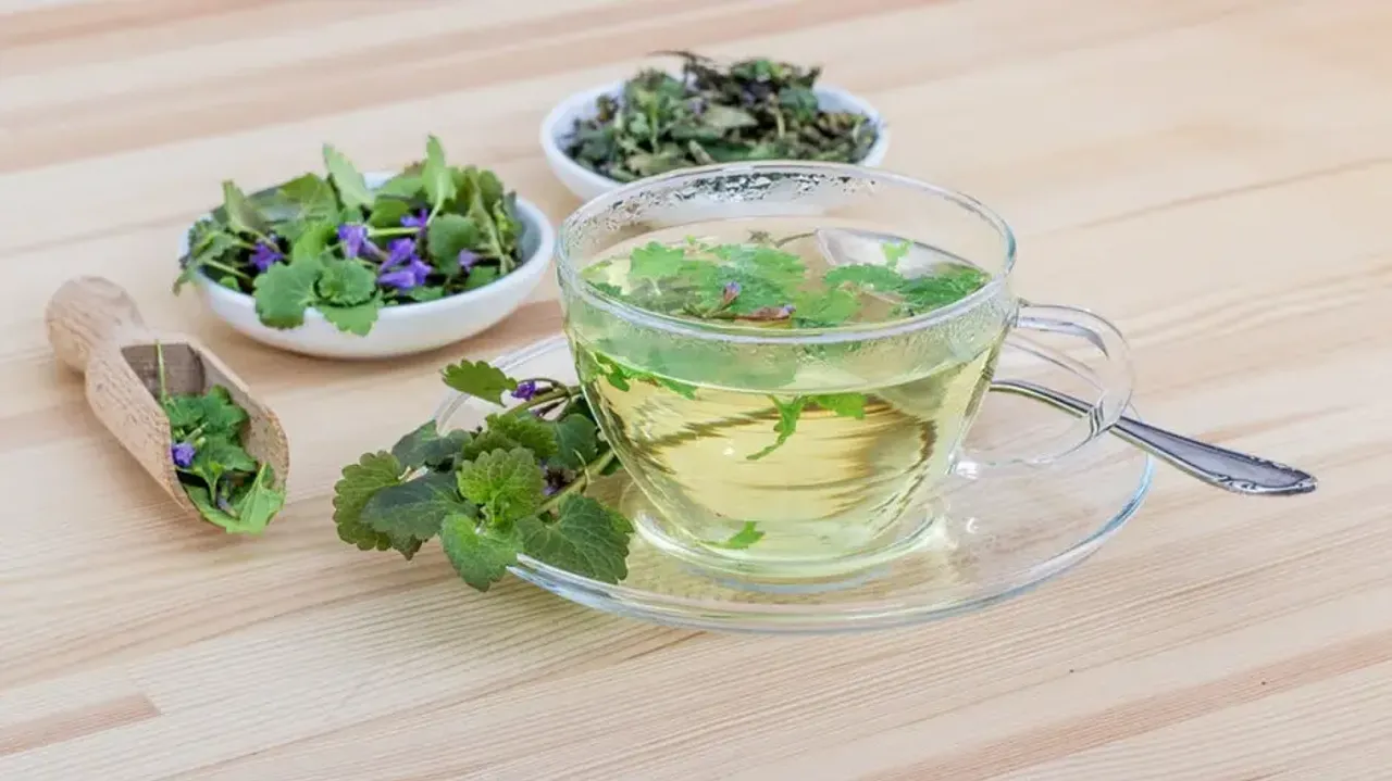 Medicinal herbs