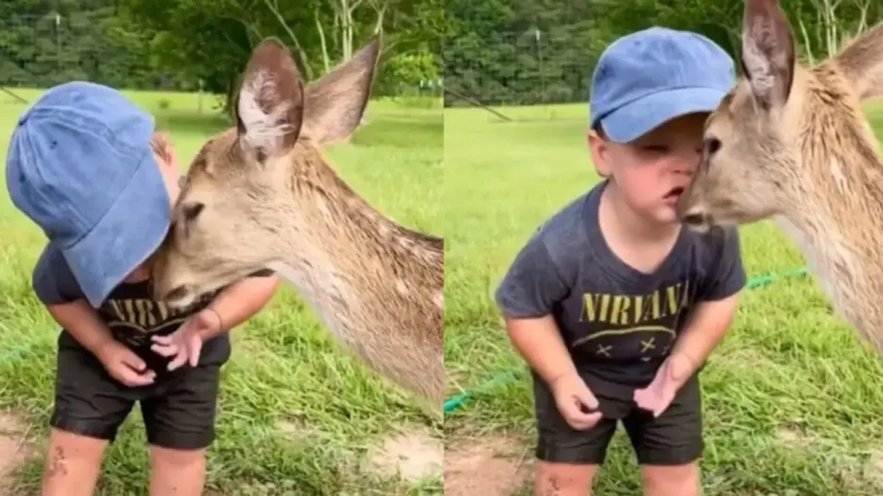 Adorable video of cute boy showering little deer with immense love and kisses goes viral