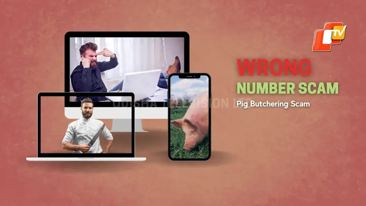 How to avoid the wrong number scam or pig butchering, check all details here