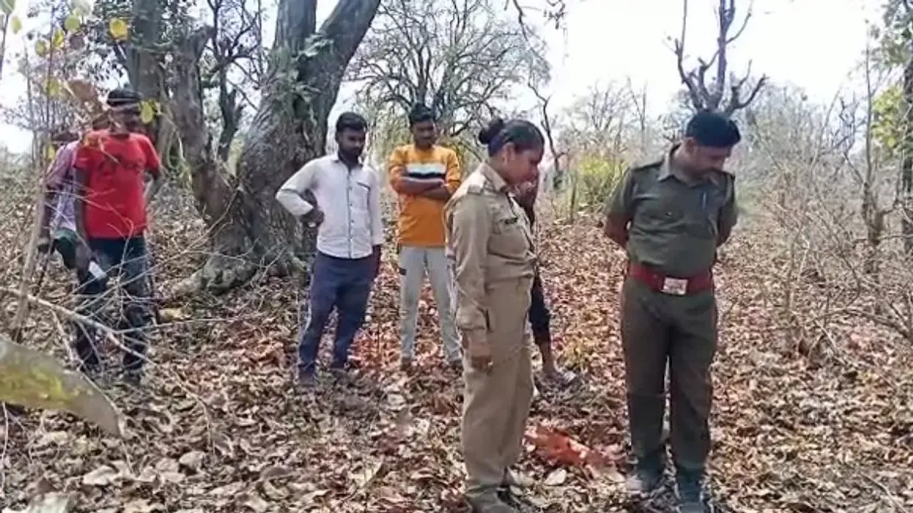Fear stalks Nuapada villagers as tiger kills calf 