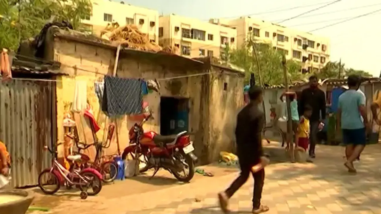 Stray dogs killed in Bhubaneswar