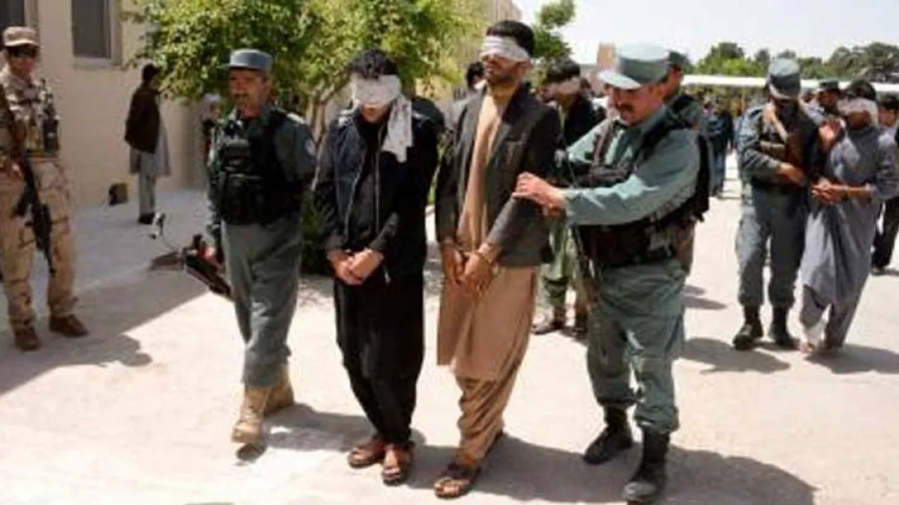 241 IS Members Surrender In Afghanistan