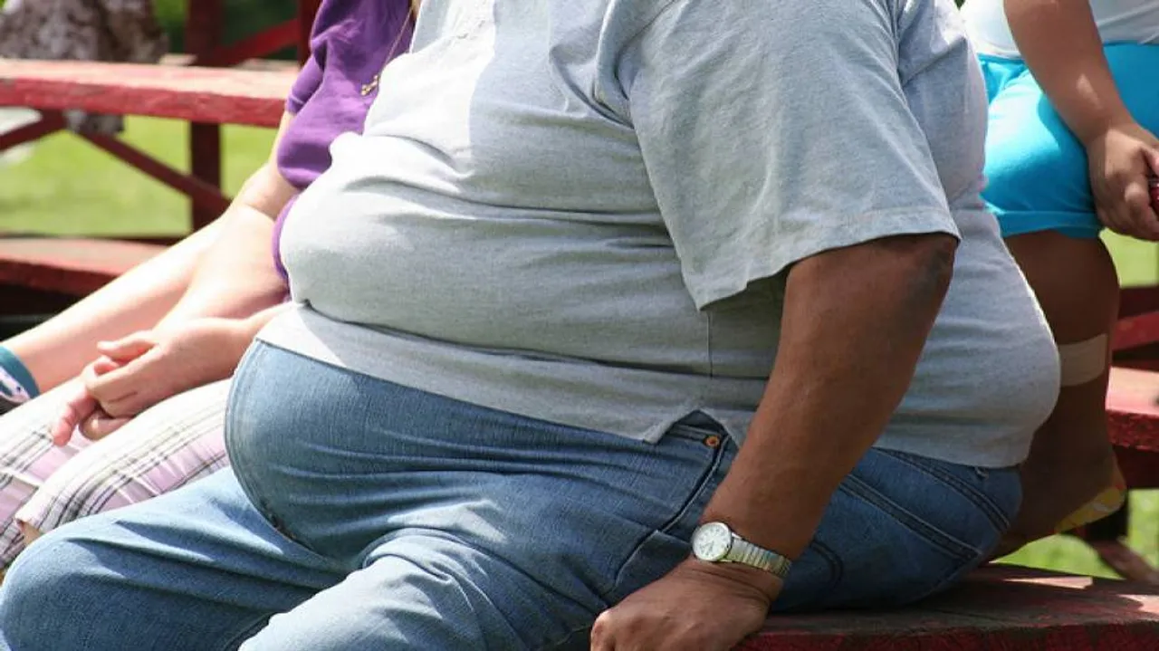 Every third person in world overweight: Study