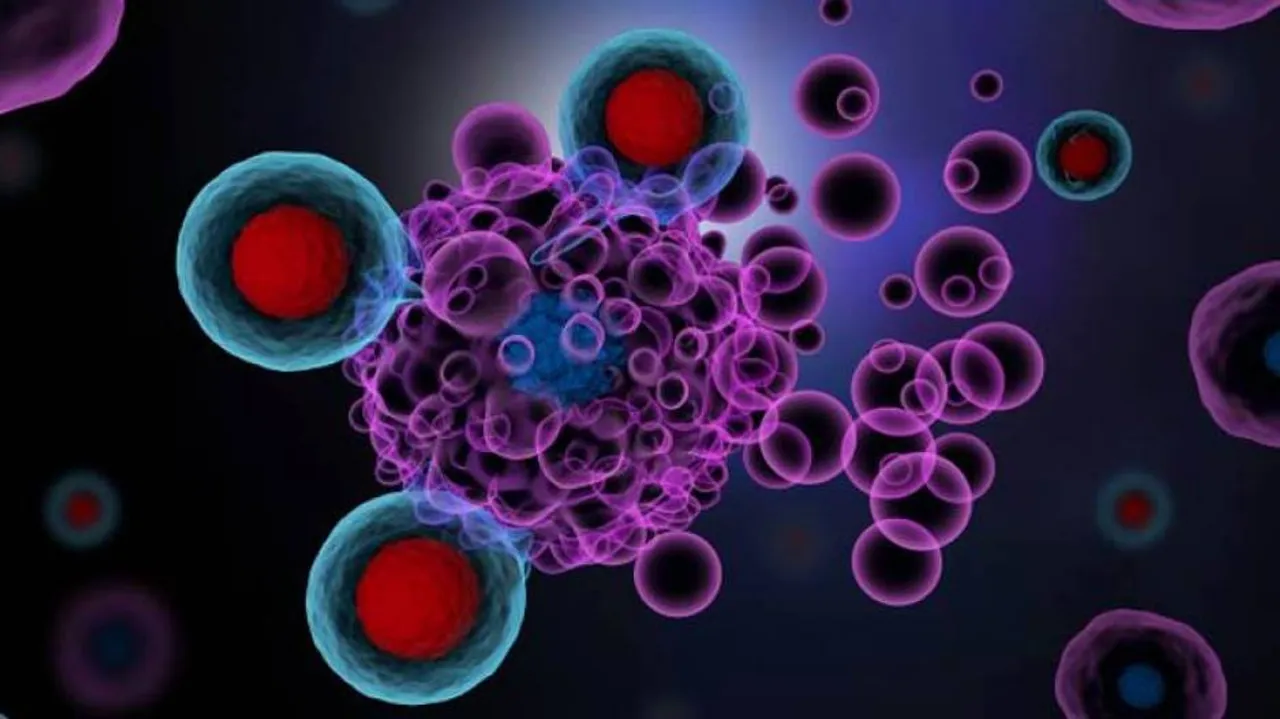 Immunotherapy Safe For Patients With Covid-19, Cancer