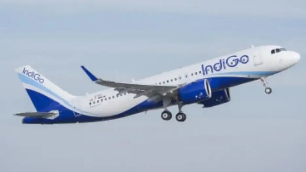 Indigo