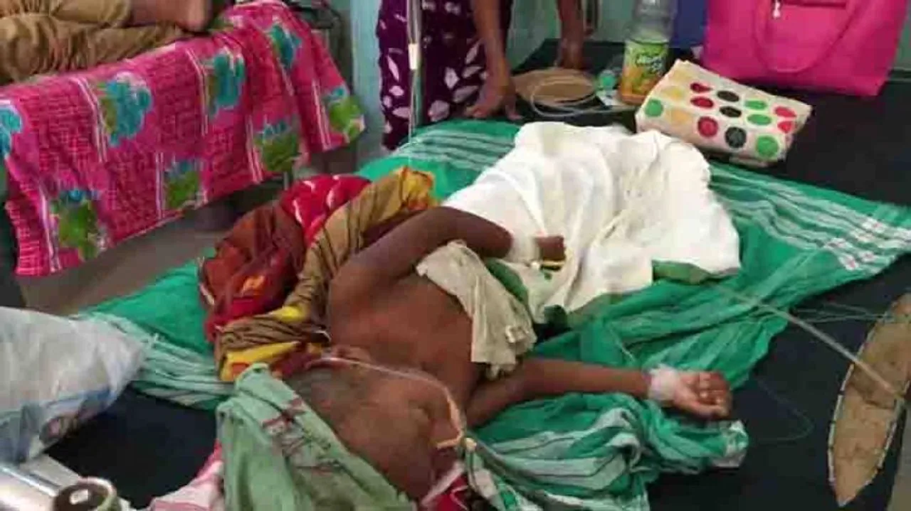 Japanese Encephalitis toll in Assam climbs to 110