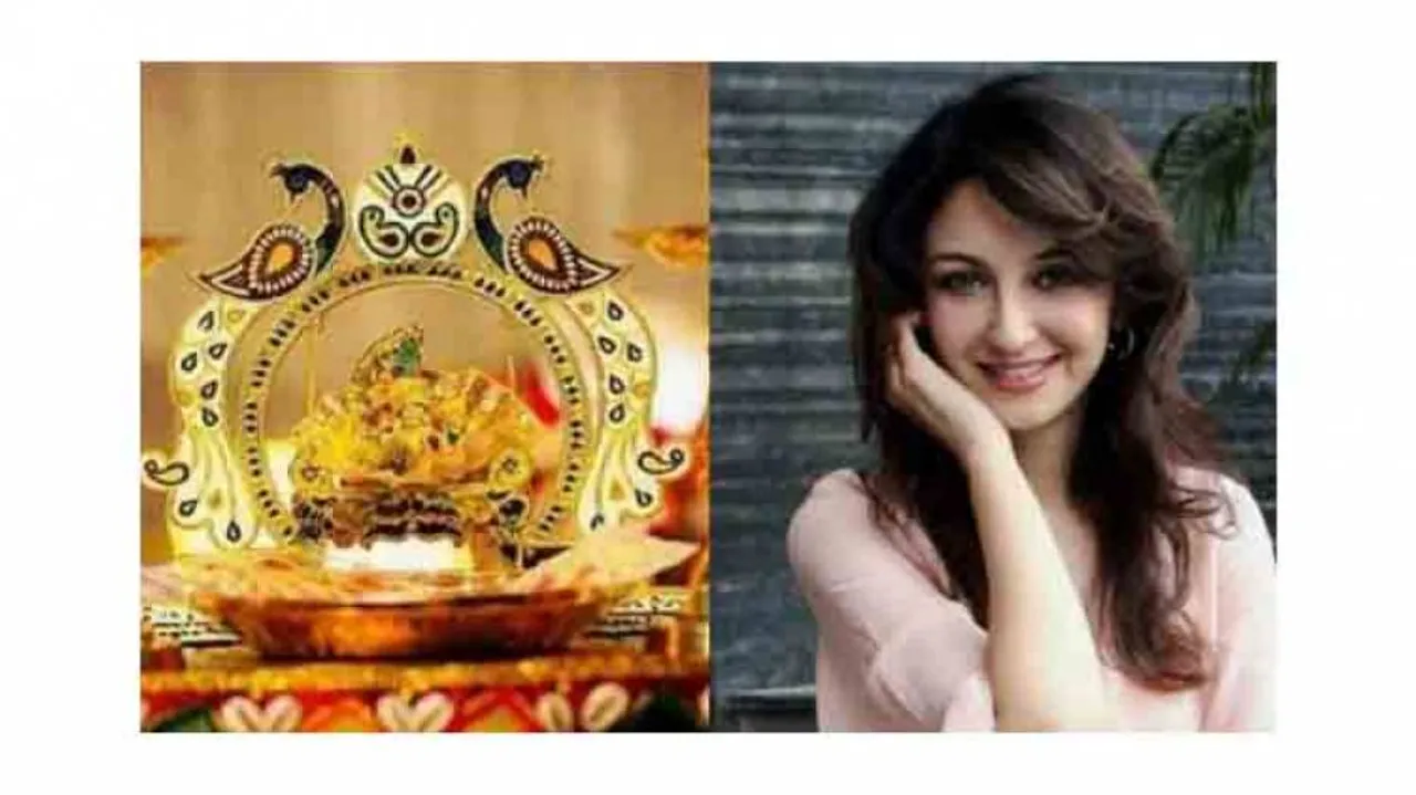 Dahi handi, food, Vrindavan visit: TV actors' fond Janmashtami memories