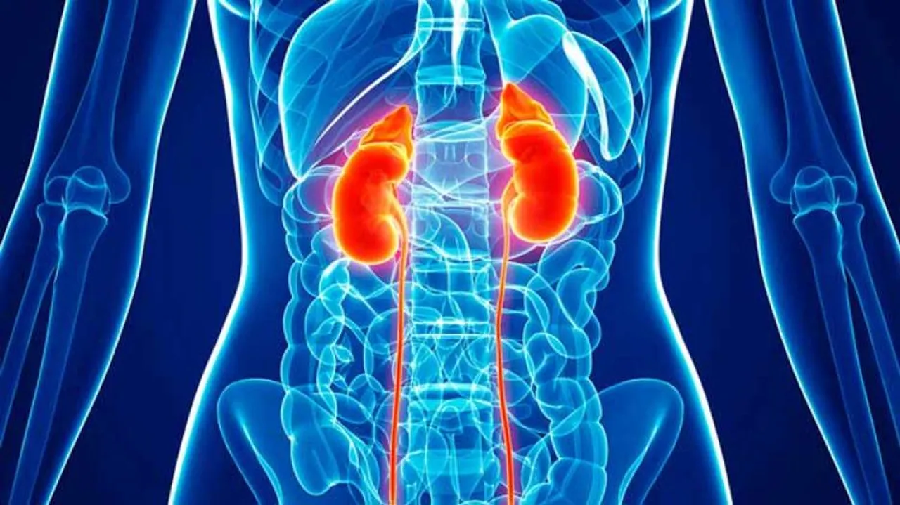 Mediterranean Diet May Help Kidney Patients Post Transplant