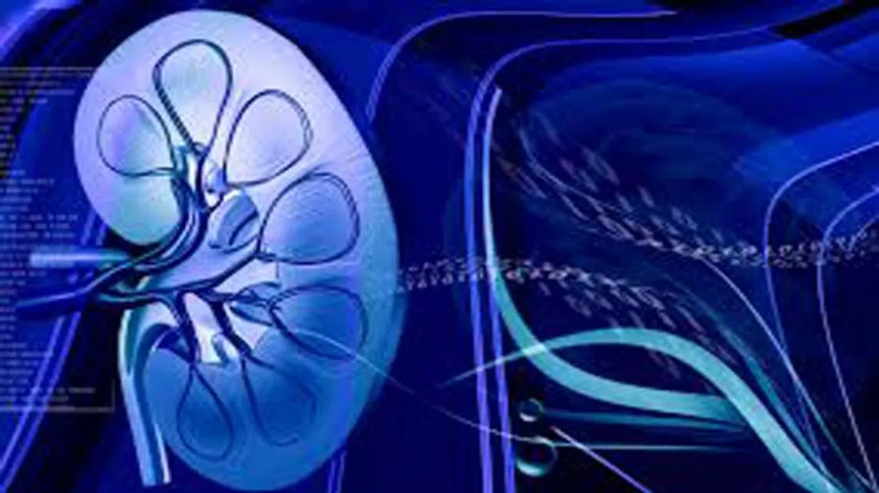Air pollution can damage your kidneys: Study