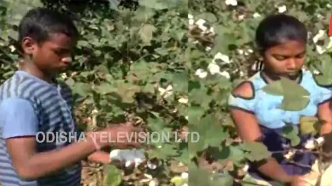 No Kidding: 2 Rayagada Kids Show The Way To Pursue Passion For Education