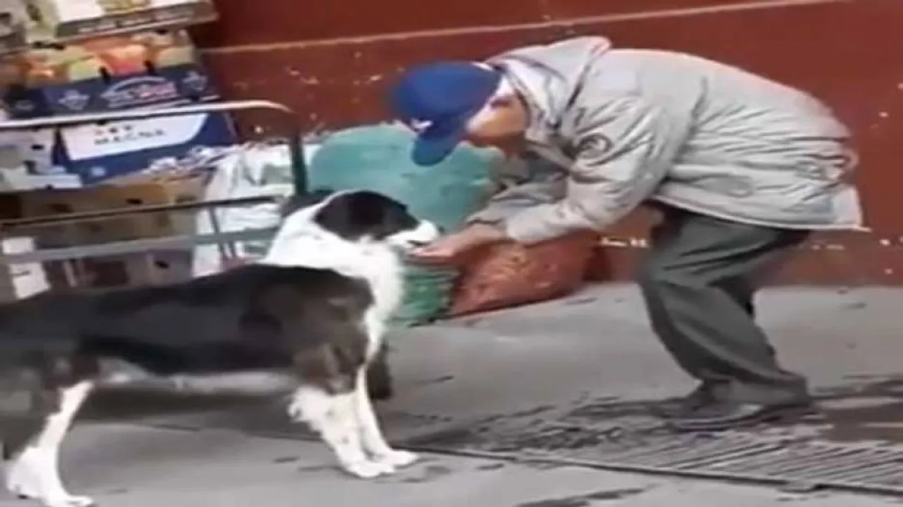 Man's Kind Gesture For Thirsty Dog Wins Internet