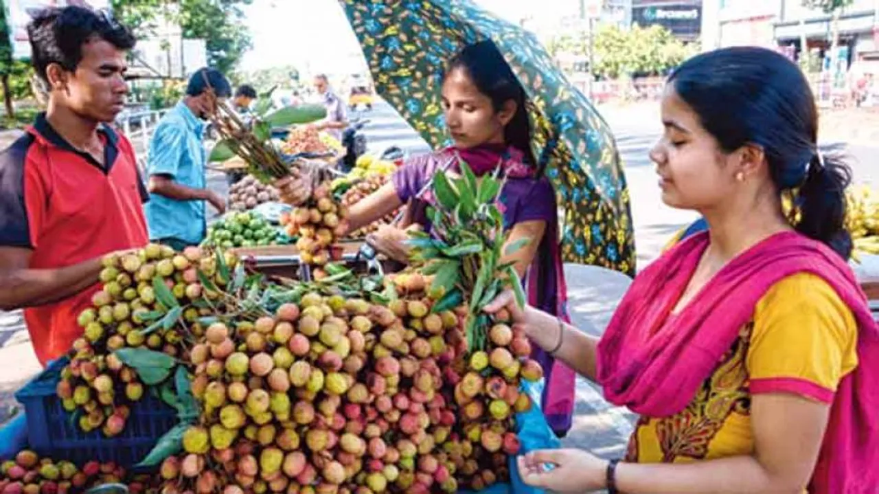 Odisha orders litchi test after encephalitis deaths in Bihar
