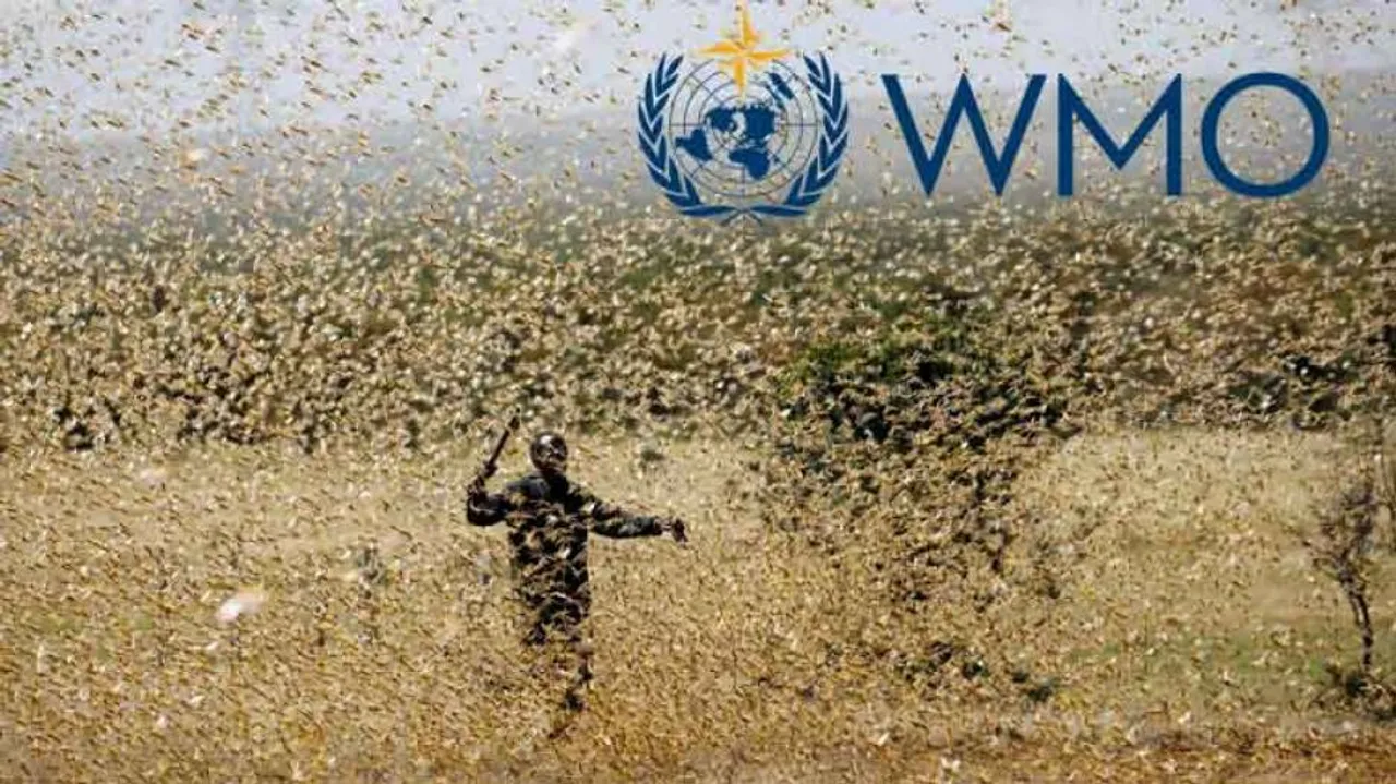 Locust Attacks In India, East Africa & Pak A Threat To Food Security, Warns WMO