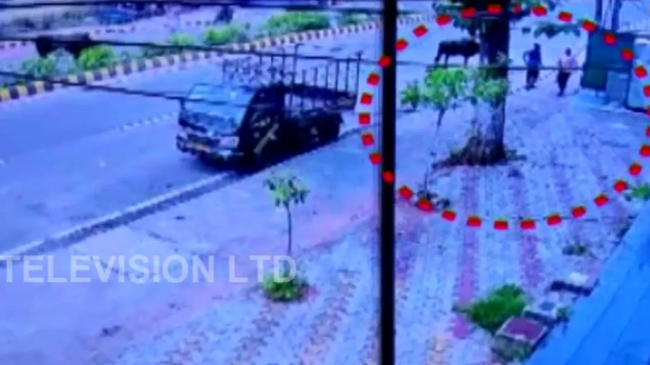 Caught On Camera: Miscreant Slits Woman's Throat During Loot Bid In Bhubaneswar