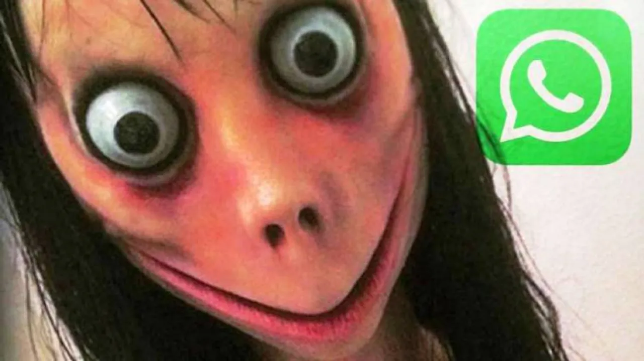 Don't meddle with her, she is dangerous: Crime Branch on MOMO Challenge