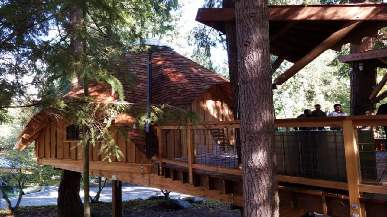 Microsoft builds treehouse offices