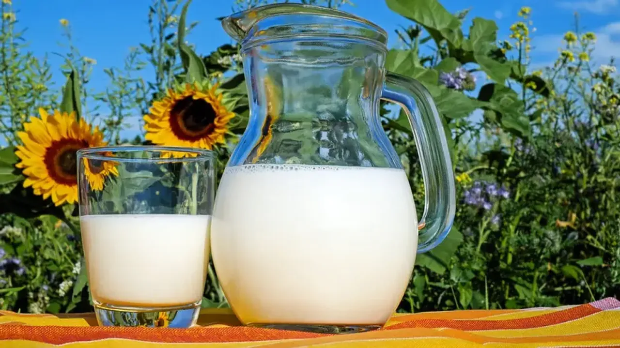 Milk