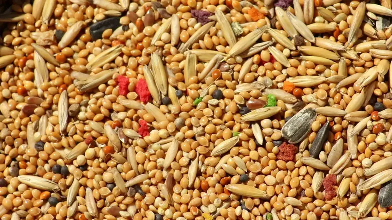Millets