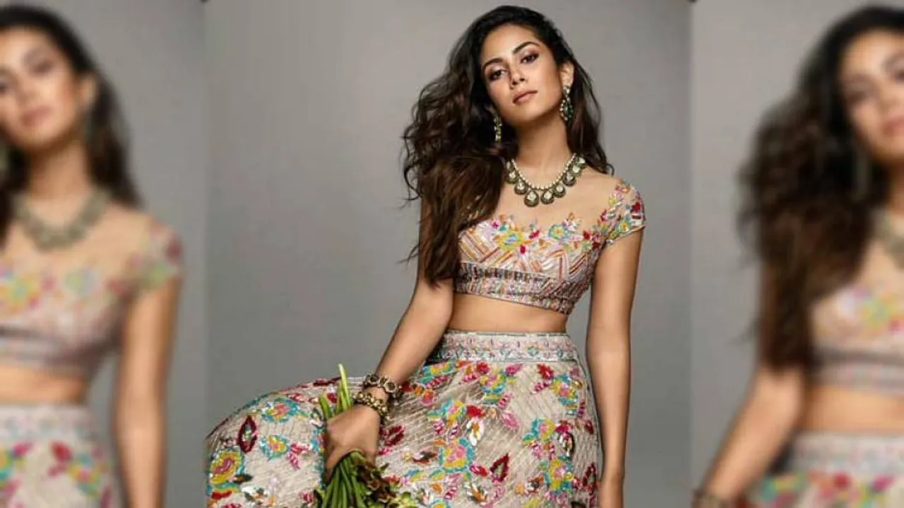 Shahid Kapoor's Wife Mira Rajput Slammed For Her Double Standards