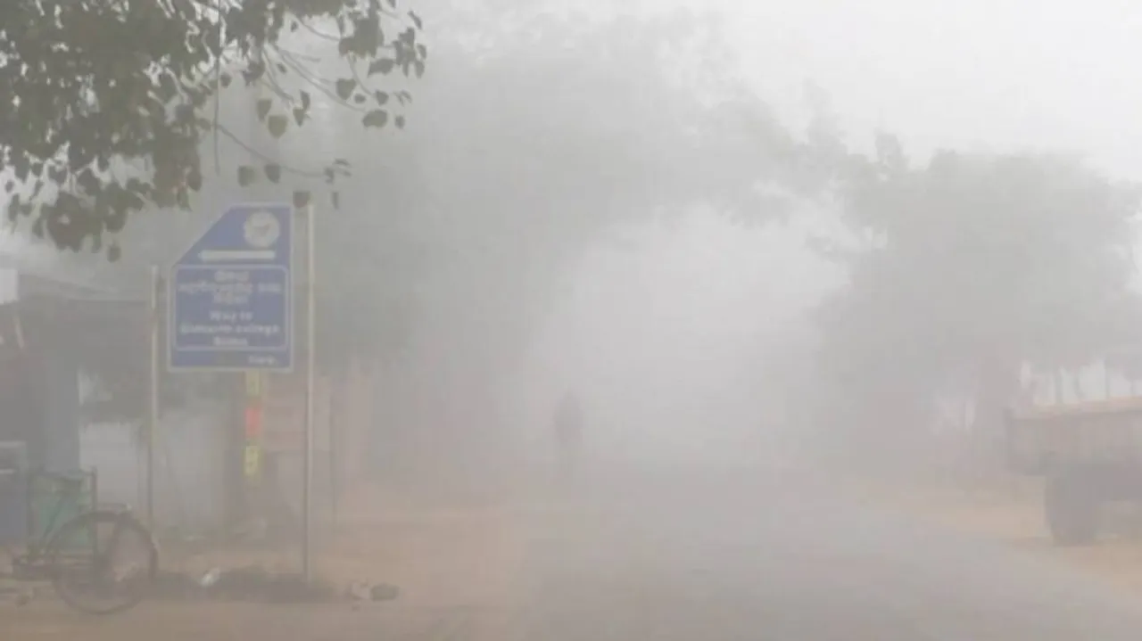 Odisha Weather Update: Met Centre Predicts Fog, Fall In Night Temperature