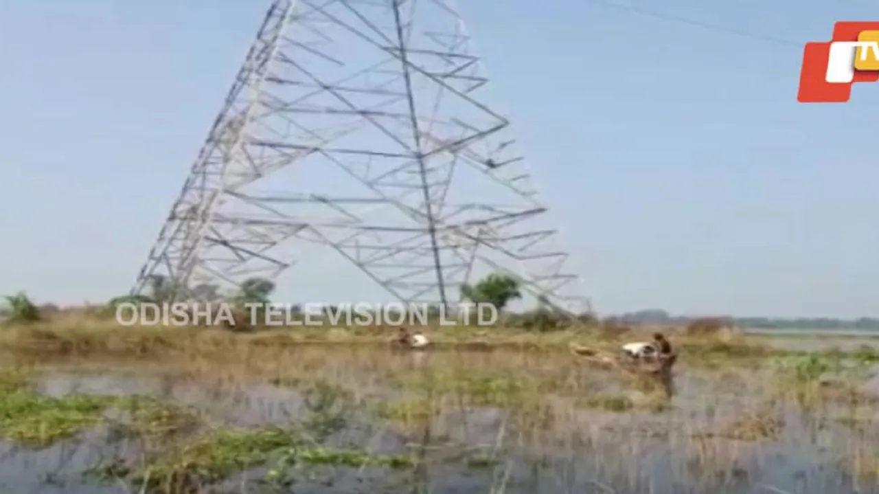 OTV Impact: Monkeys Stranded On Power Transmission Tower Rescued