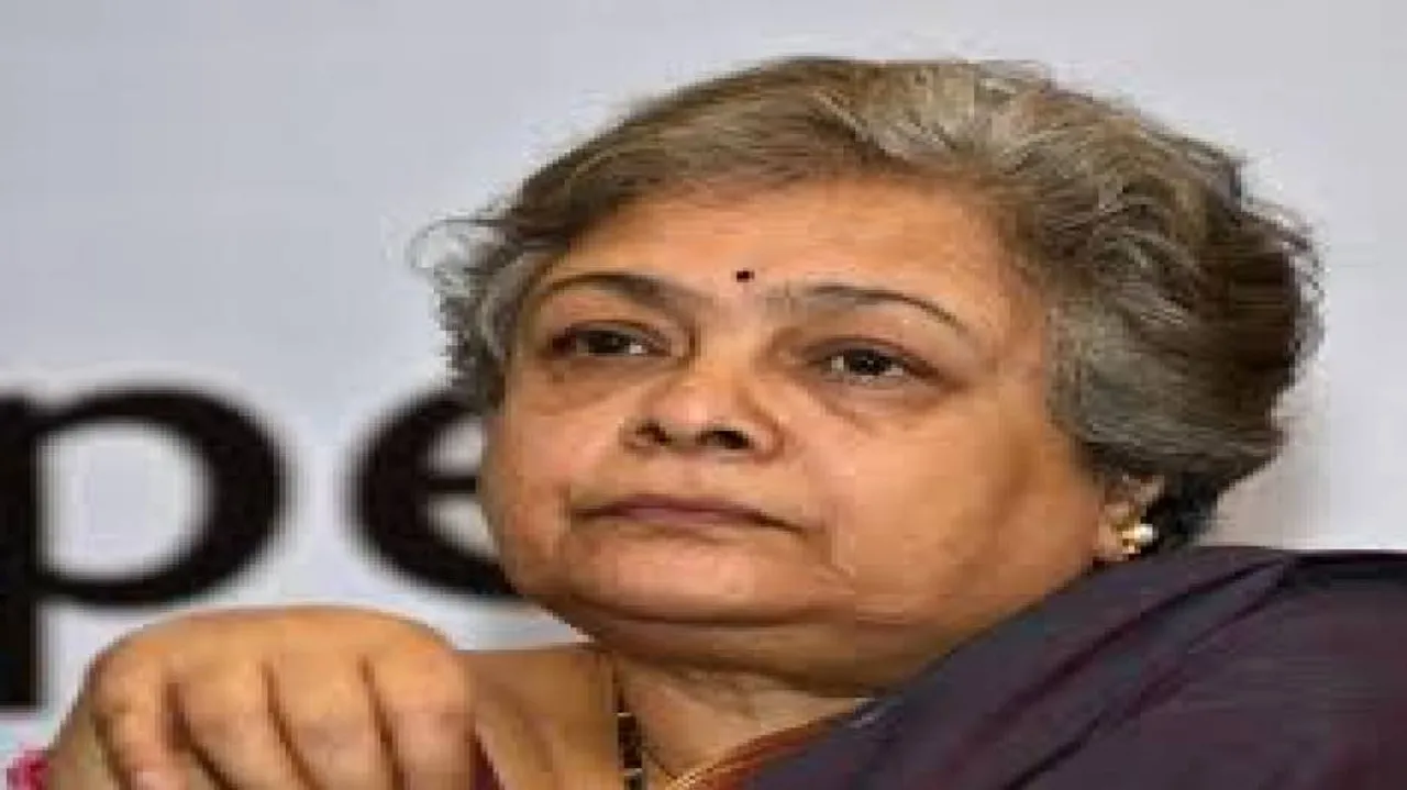 Hindi is common property, no party can appropriate it: Mrinal Pande