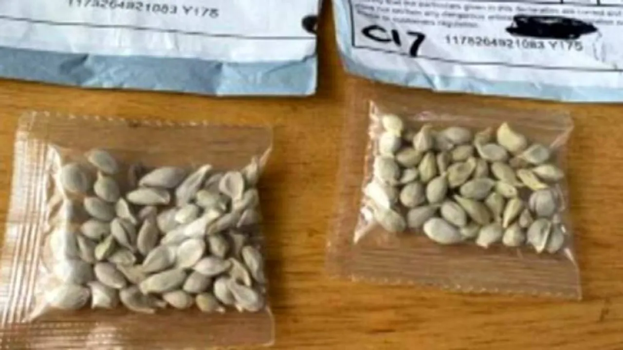 Govt Cautions Farmers On 'Mystery Seed' Parcels From Unknown Sources