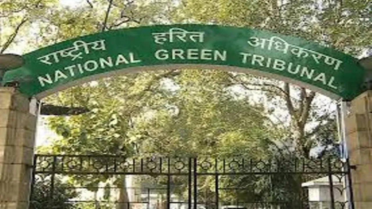 NGT gives green signal for Bali Jatra