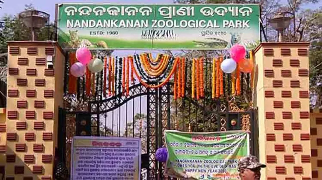 Nandankanan Zoological Park Celebrates 60th Foundation Day