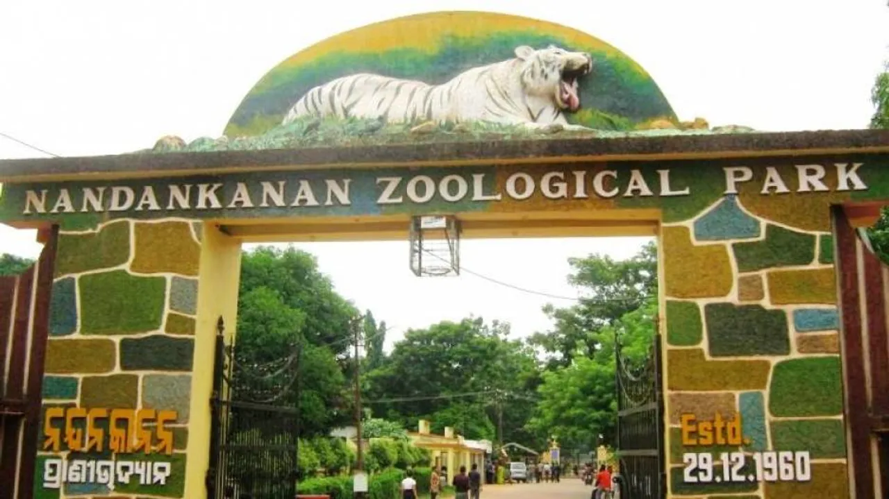 Female Hippo Dies At Nandankanan Amid Herpes Scare