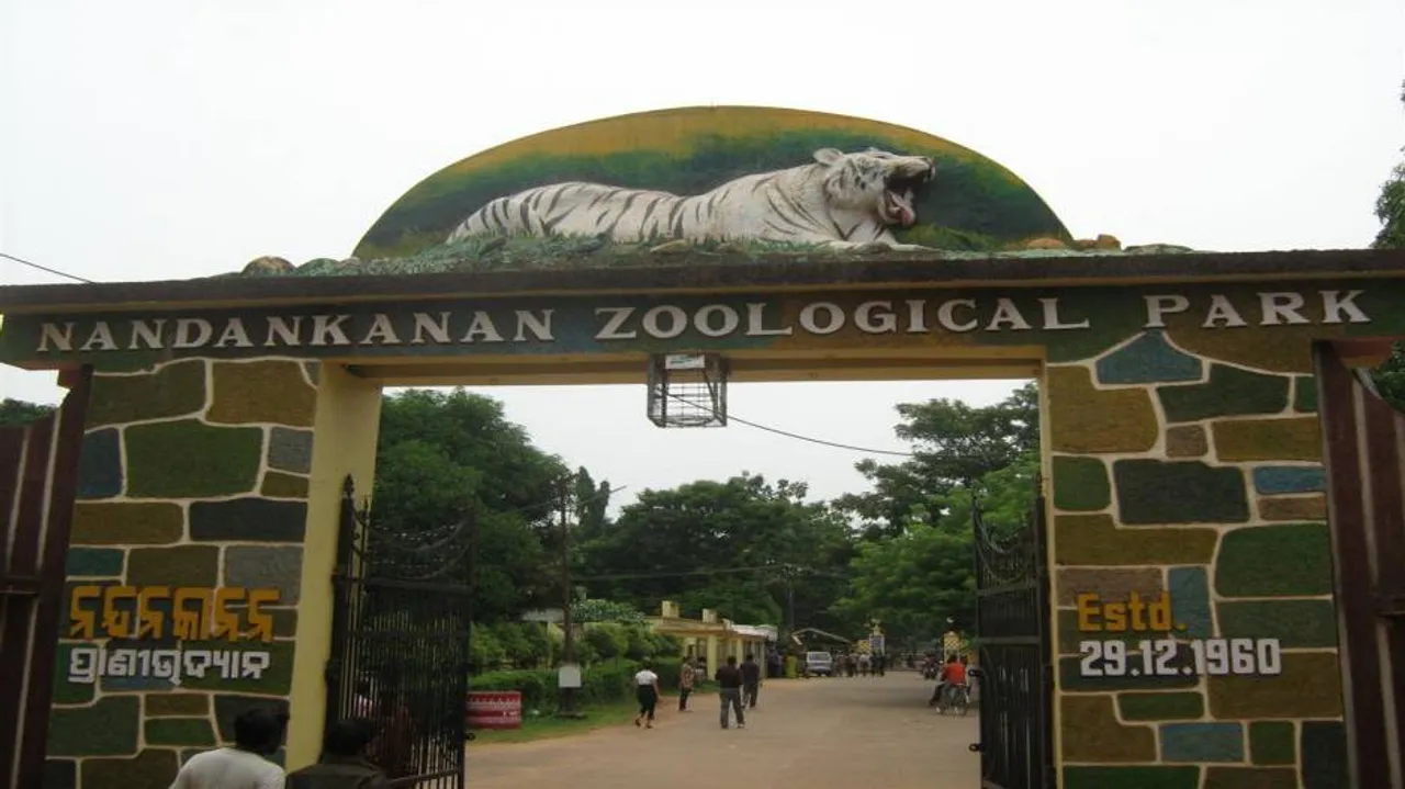 Leopard dies in Odisha's Nandankanan zoo
