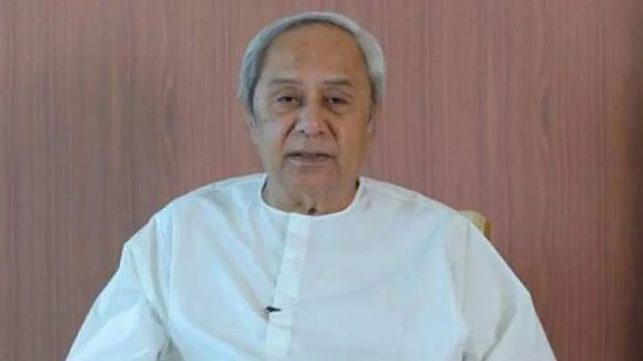 COVID-19: Odisha CM Directs Officials To Properly Implement Livelihood Programmes For Rural Population