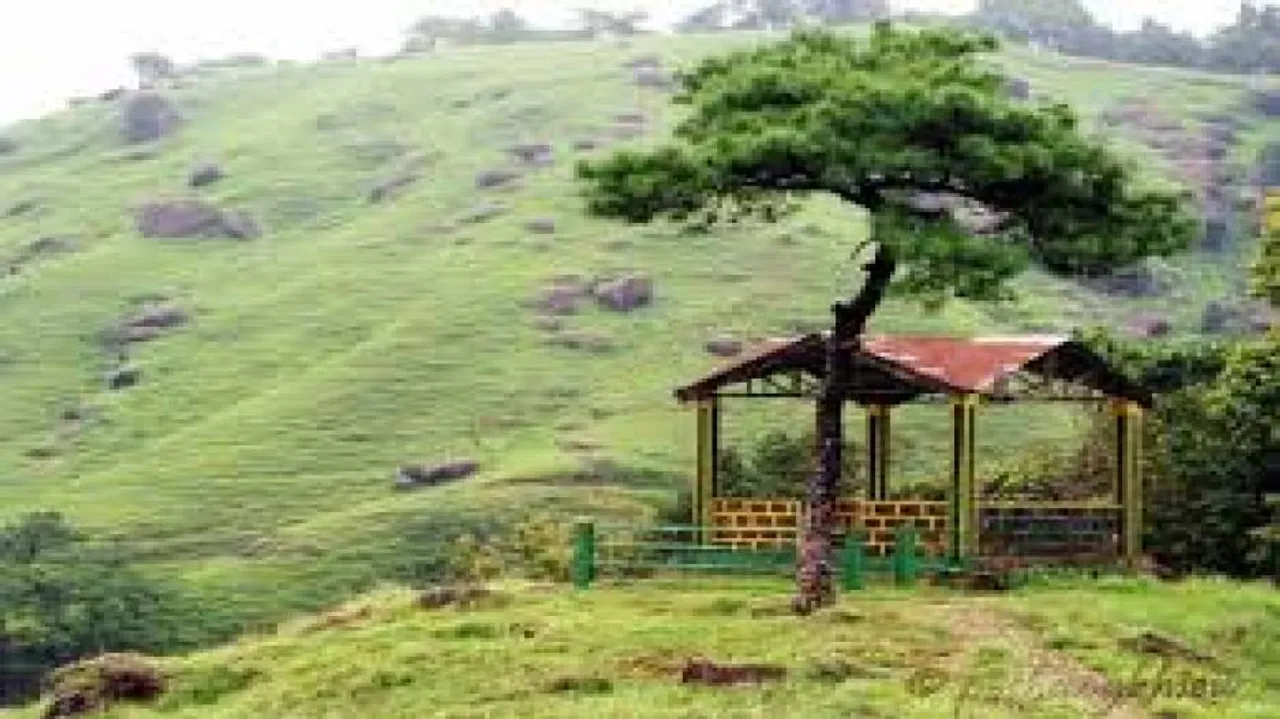 Natural surroundings help men get adequate sleep