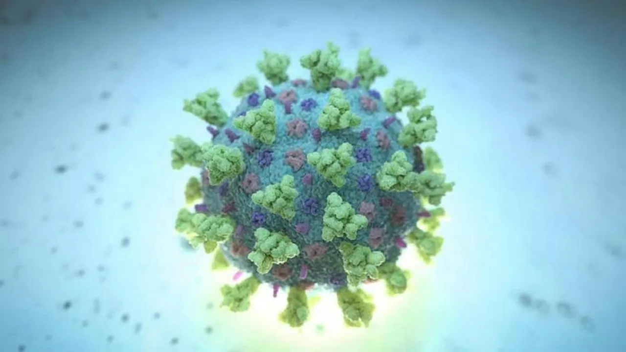 Mutant Coronavirus Scare: UK Returnee Tests Positive In Odisha