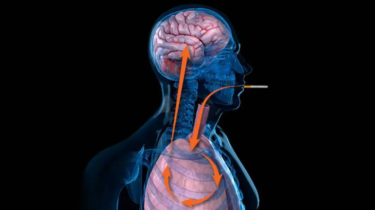 Nicotine Aids Spread Of Lung Cancer To Brain Leading To Deadly Metastatic Tumours
