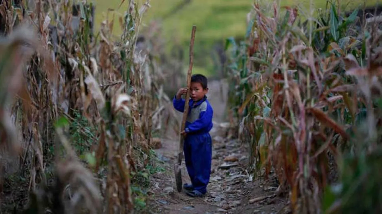 N. Korea facing acute food shortage, says UN
