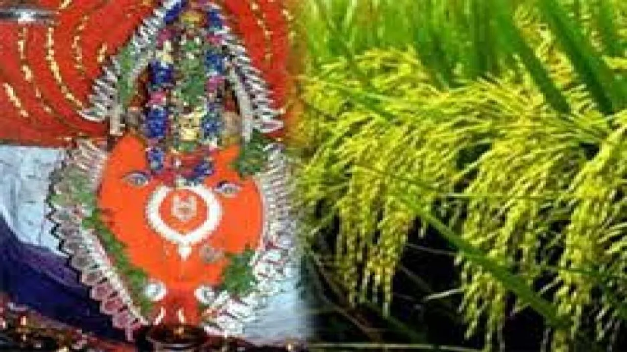 When will Nuakhai become a truly pan-Odisha festival?