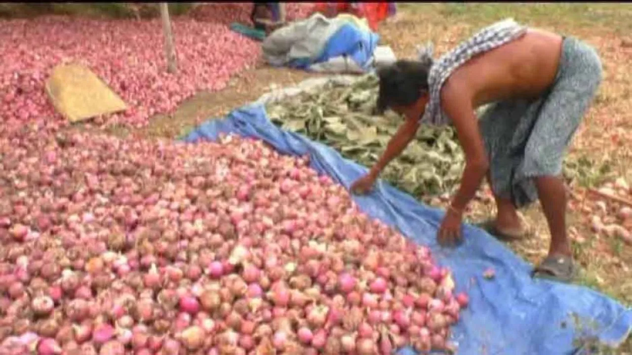 Onion Price Rise In Odisha: Opposition Trains Guns At State Government