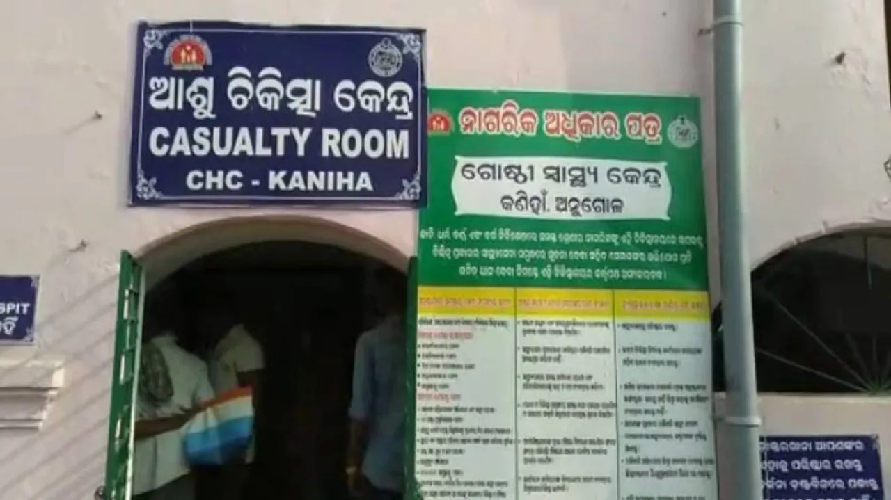 Two Injured In Wild Boar Attack In Odisha's Angul