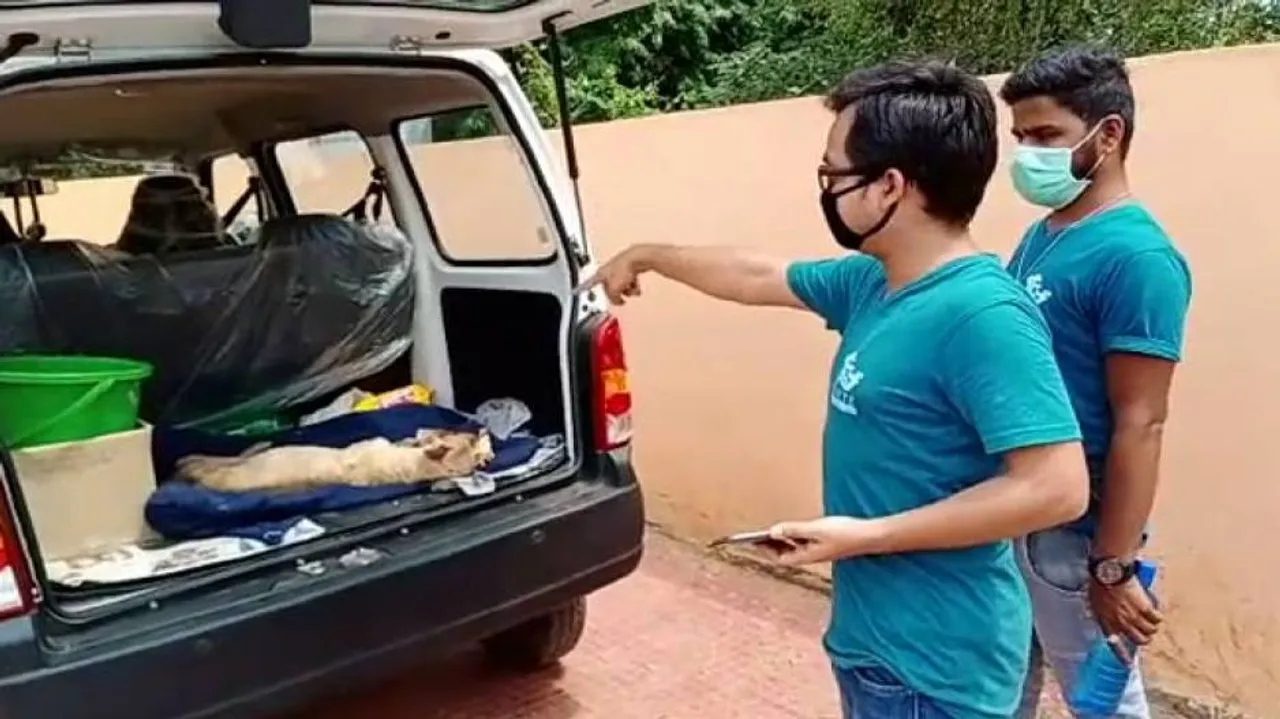 It couldn’t have been more cruel for April: Woman beats pregnant dog to death, complaint lodged