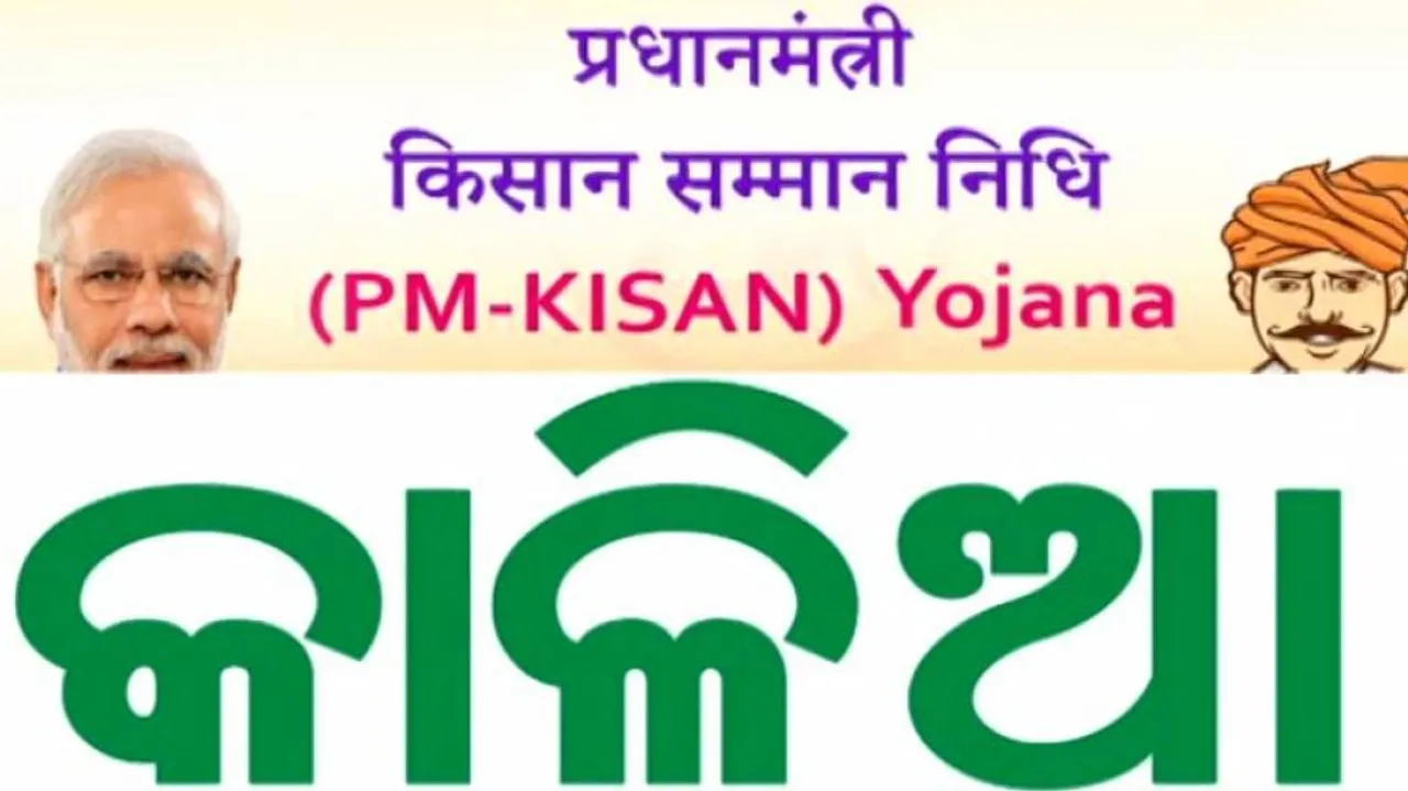 Odisha's KALIA & PM-KISAN Integration For benefit Of Farmers Or To Tackle Fund Crisis?