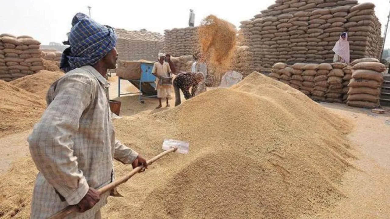 2,12,439 MT Paddy Purchased From Over 2.83L Farmers Till Oct 9