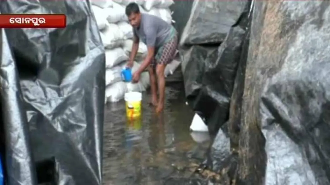 Rainfall, Cold Wave Alert In Odisha As Farmers Pray For Clear Skies